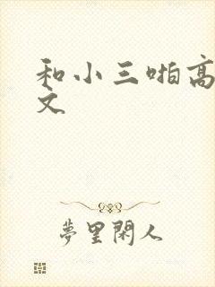 和小三啪高辣h文