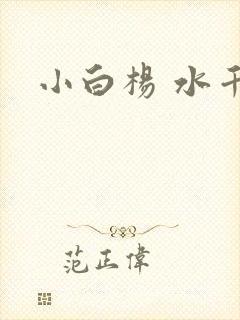 小白杨 水千丞封面