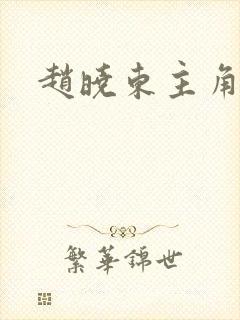 赵晓东主角小说