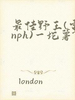 最佳野王(电竞nph)一坨薯饼
