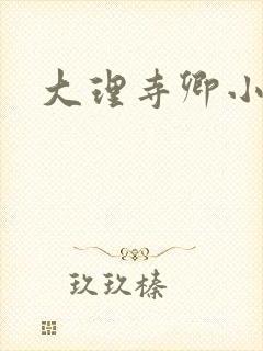 大理寺卿小说