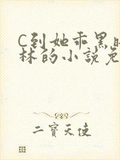 C到她乖黑暗森林的小说免费封面