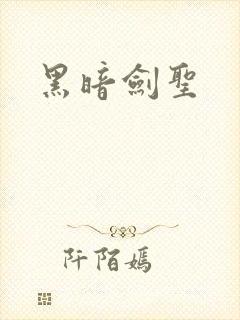 黑暗剑圣封面