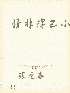 情非得已小说封面