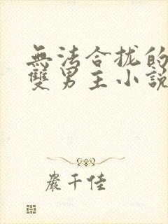 无法合拢的总裁双男主小说