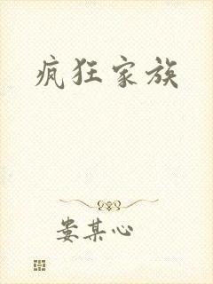 疯狂家族封面
