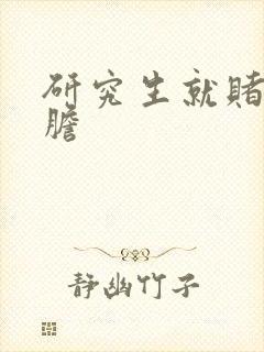 研究生就赌一个胆封面