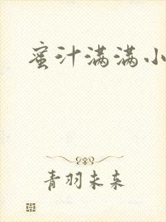 蜜汁满满小说