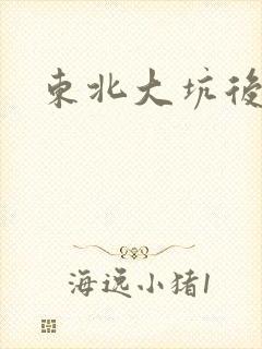 东北大坑后续2封面