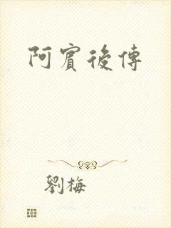 阿宾后传