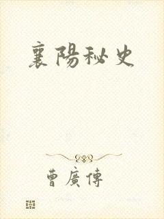 襄阳秘史