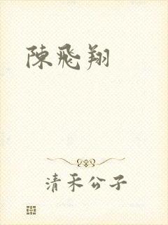 陈飞翔