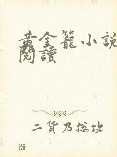 黄金笼小说免费阅读