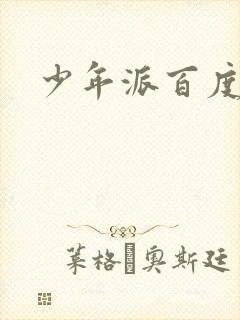 少年派百度百科