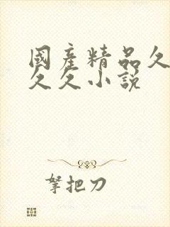 国产精品久久久久久小说