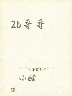 2b哥哥