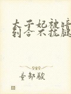太子妃被暗卫C到合不拢腿