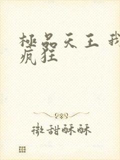 极品天王 我本疯狂
