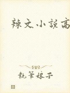辣文小说高h