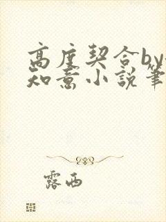 高度契合by洛知意小说笔趣阁无弹窗封面