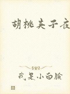 胡桃夹子夜未眠