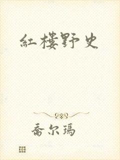 红楼野史封面