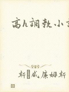 高h调教小说