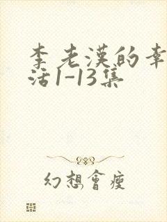 李老汉的幸福生活1-13集