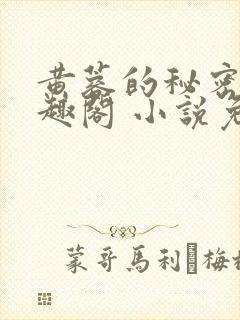 黄蓉的秘密 笔趣阁 小说免费阅读下载