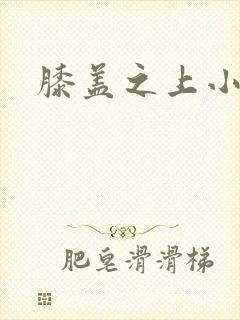 膝盖之上小说