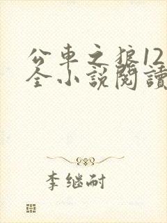 公车之狼12集全小说阅读
