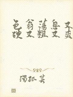 色翁荡息又大又硬又粗又爽