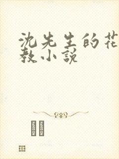 沈先生的花式管教小说