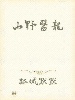 山野医龙