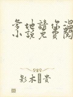 爹地请你温柔点小说免费阅读