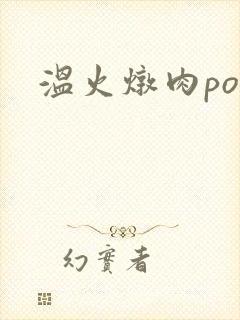 温火炖肉pop