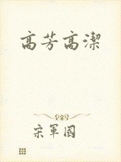 高芳高洁封面