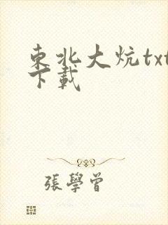 东北大炕txt下载封面