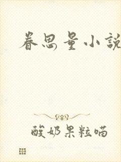 眷思量小说