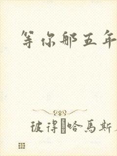 等你那五年