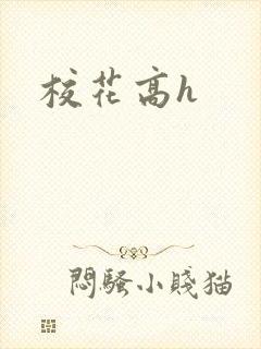 校花高h