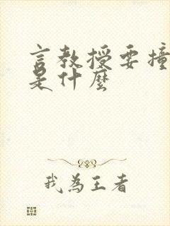 言教授要撞坏了是什么
