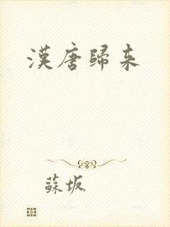 汉唐归来