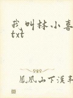 我叫林小喜小说txt