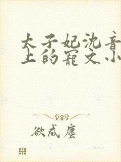 太子妃沈音和皇上的宠文小说封面