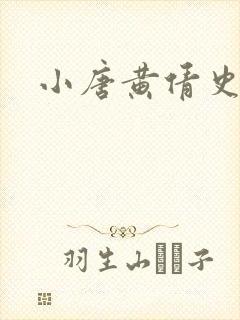 小唐黄倩史