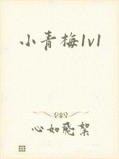 小青梅1v1