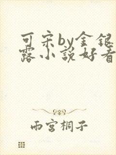 可宋by金银花露小说好看吗
