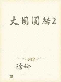大团圆结2封面