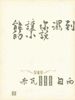 能让你湿到不行的小说